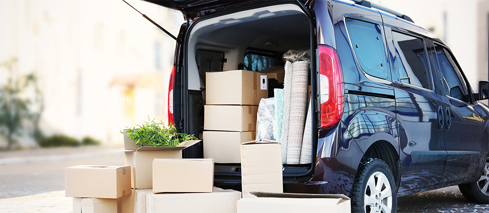 Section Banner Image